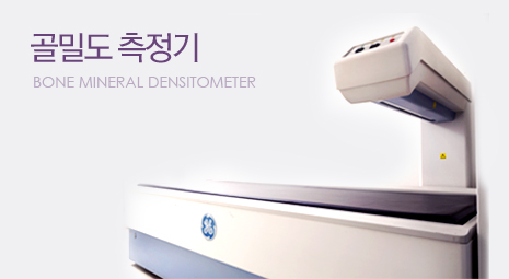 골밀도 측정기 - Bone Mineral Densitometer